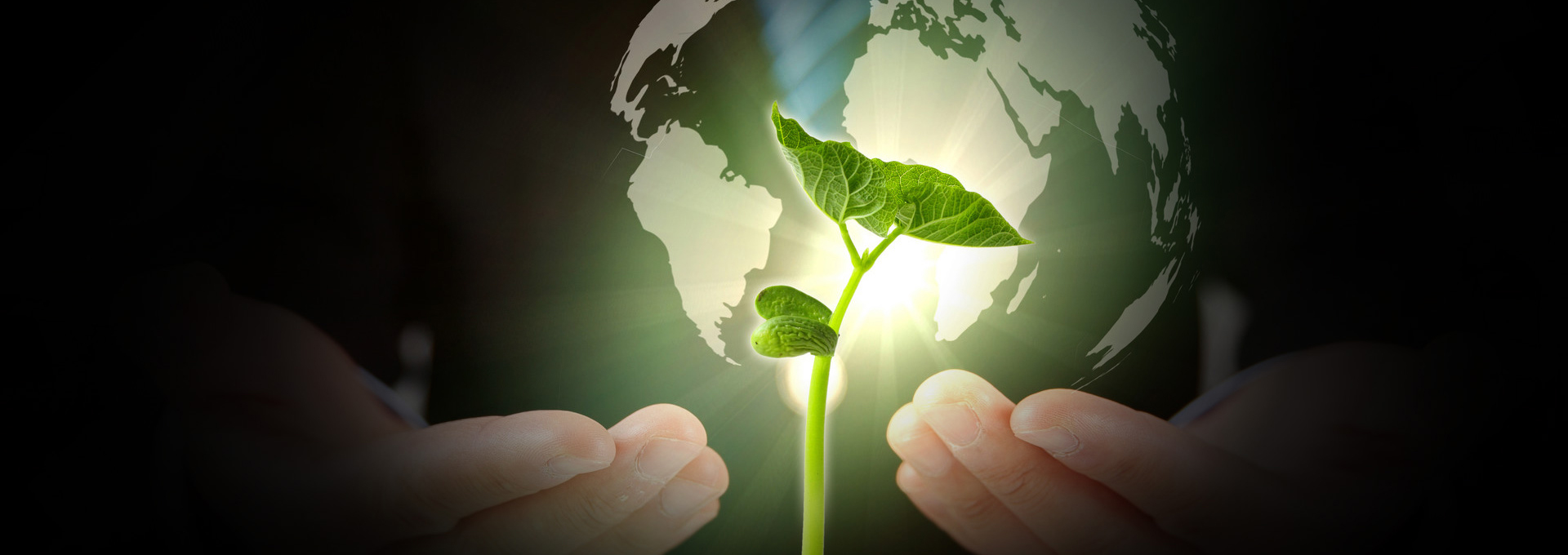 保护环境，造福人类